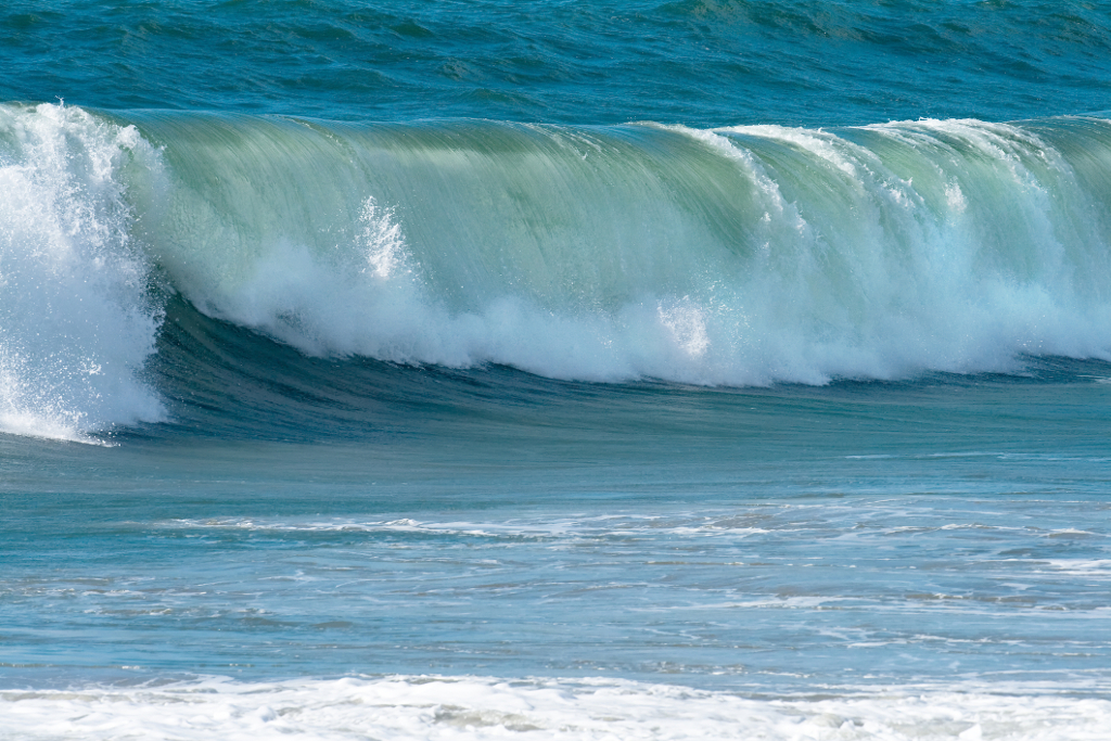 What Should You Do With Your Grief? | Expressions Counselling